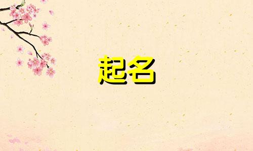 服饰公司起名搞笑的有哪些