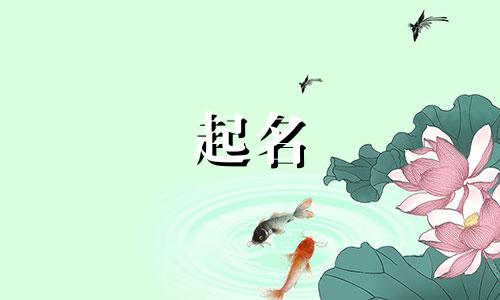 赵氏起名中间字有哪些