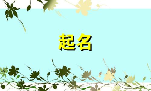 窗帘店起名软件有哪些好