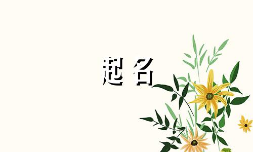 宝贝起名好工具有哪些品牌