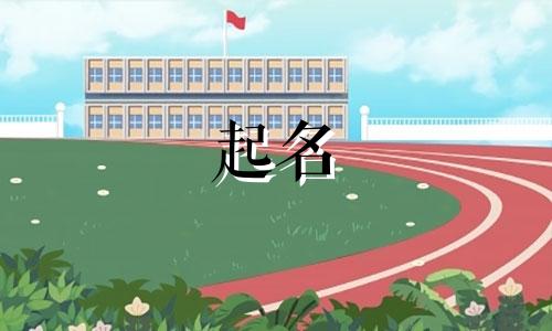 醋的品牌起名有哪些字母