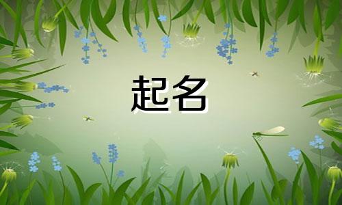 生活软件起名字有哪些