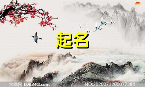 给宠物起名套路有哪些呢