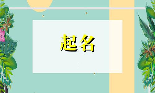 给仓鼠起名的名字有哪些