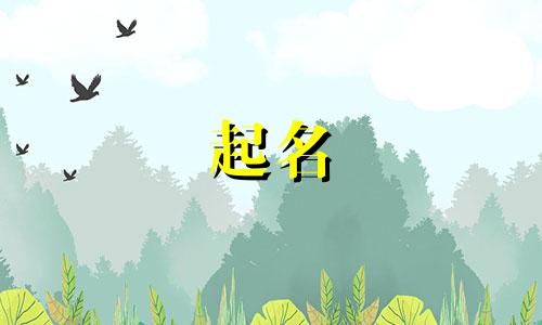 起名看哪些书好记的书名