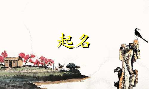 苏姓起名需讲究哪些字母