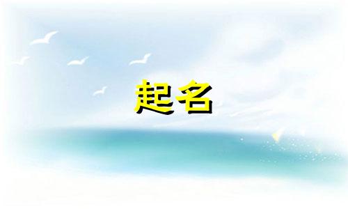 起名用的古诗句有哪些