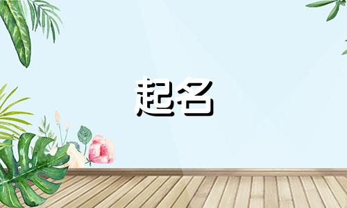 用哪些诗词起名字好听