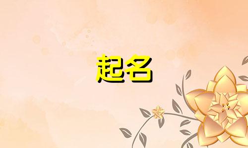 名字起名小程序有哪些软件