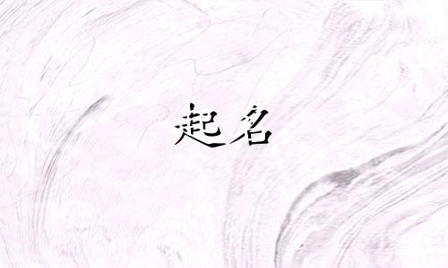 学周易起名软件有哪些好用