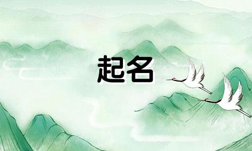 歌单起名鬼才的歌手有哪些