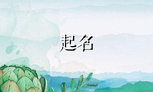 婴儿起名秘诀有哪些呢视频