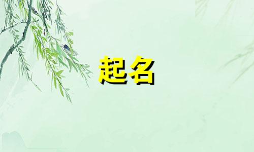 杭州女宝宝起名平台有哪些