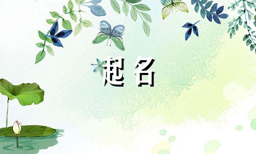 新闻号起名方式有哪些好听