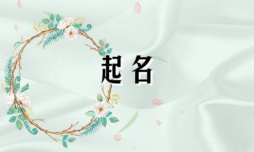 微信起名小游戏有哪些