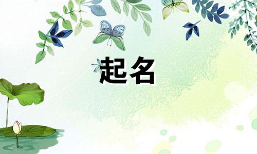 谐音宝宝起名女孩名字有哪些