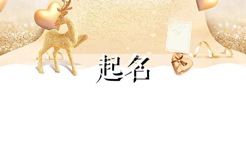 能起名的写作软件有哪些