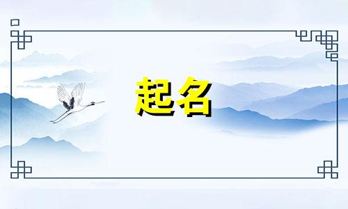 玉林有哪些起名公司好听点