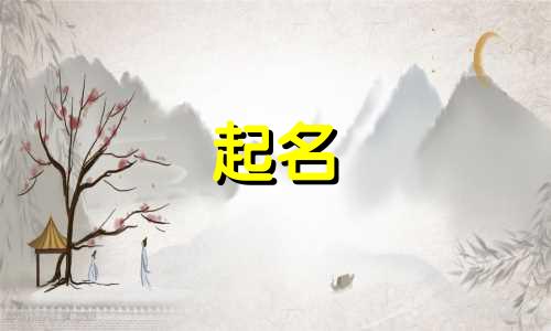 起名很随便的品牌有哪些