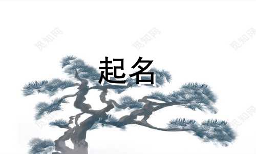 关于地坪的公司起名有哪些