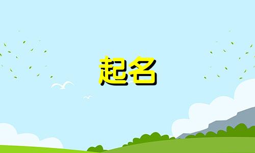 起名的软件公司有哪些