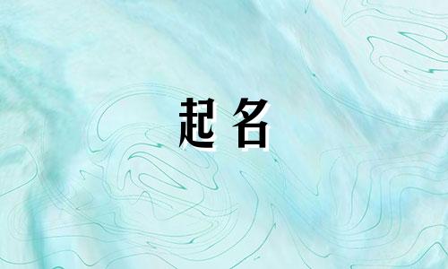 网店起名软件网站有哪些