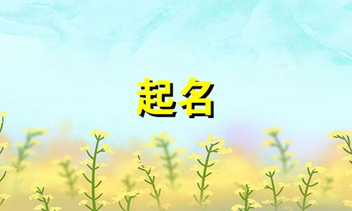 男孩起名哪些字不好取的