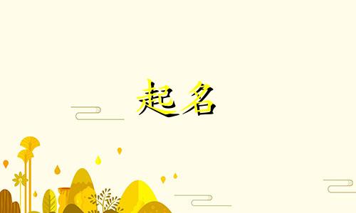 基础字起名软件有哪些名字