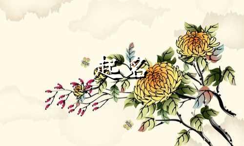 网上起名大骗局有哪些