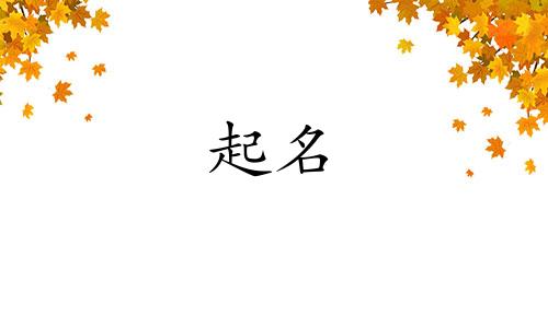 社交软件的起名有哪些名字