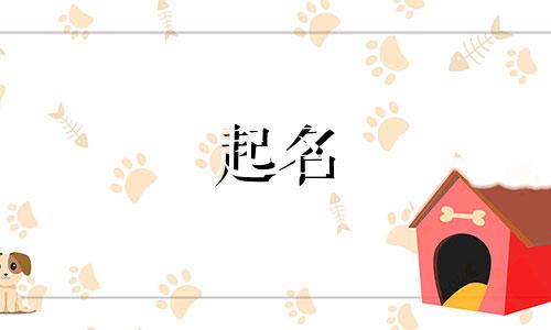 给宝宝起名有哪些坑儿