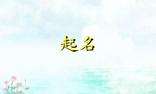 网上起名有哪些平台好