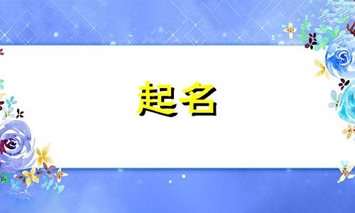 宝宝起名的字有哪些好听