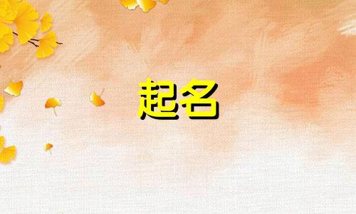 宠物起名温柔的字有哪些
