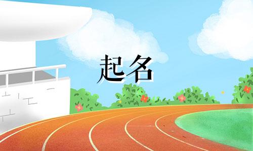 镜头膜好品牌起名有哪些