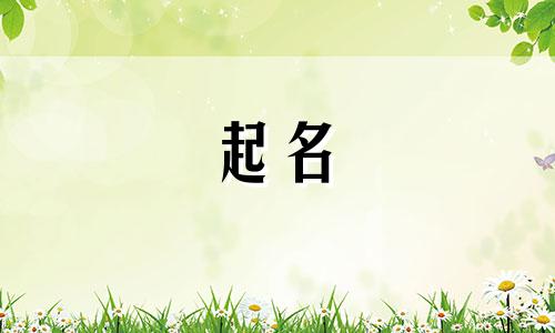 推荐的起名软件有哪些免费