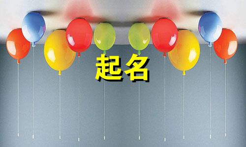 起名小程序定制软件有哪些