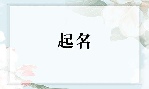 魏字起名的讲究有哪些
