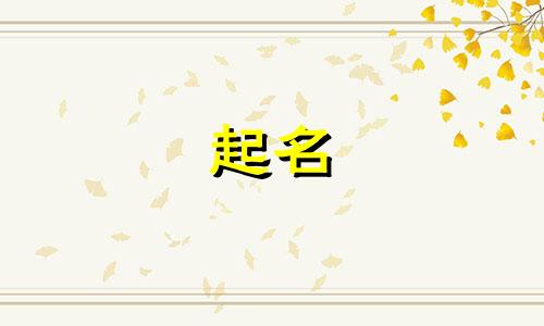 用猫起名的酒馆有哪些
