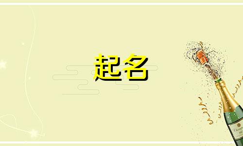 篮球培训起名字有哪些