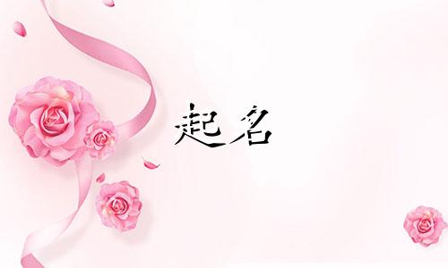 起名的经典案例有哪些呢