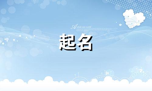 物理小组起名规则有哪些