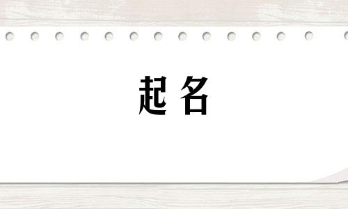 起名的小程序有哪些名字
