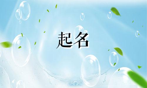 兔子起名招财的名字有哪些