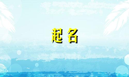 美术班起名阶段有哪些内容
