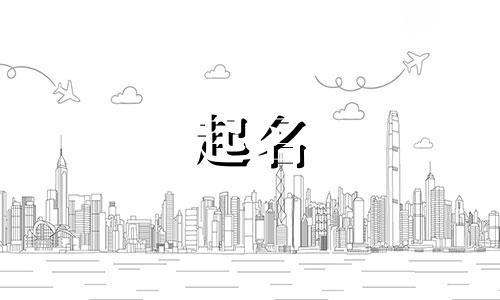 不会起名的鸟类名称有哪些