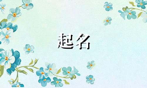 专属起名字神器有哪些