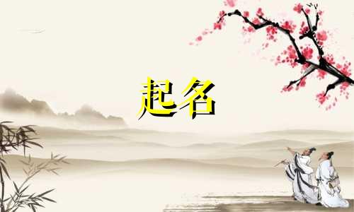 新的综艺起名方式有哪些