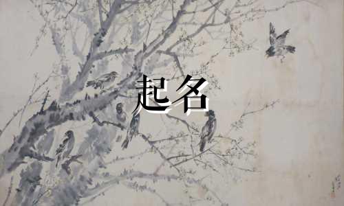 姓游孩子起名都有哪些好字