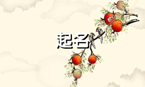 宝宝起名字要注意哪些